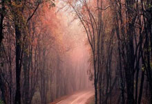 开云体育官网：[CBA]常规赛3月9日：辽宁VS吉林 赵继伟集锦.