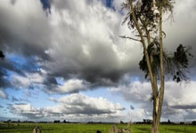 短道速滑世锦赛 ｜ 刘少昂1500米摘铜 加拿大收获三金.