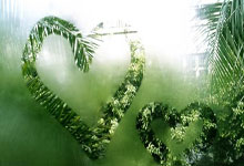 生涯6战0胜！郑钦文再遭萨巴伦卡横扫，止步迈阿密站8强.