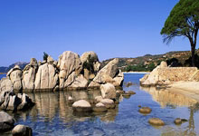 开云体育官网：邱彪：目前的排名已大大超过预期，战辽宁要放平心态注重过程.